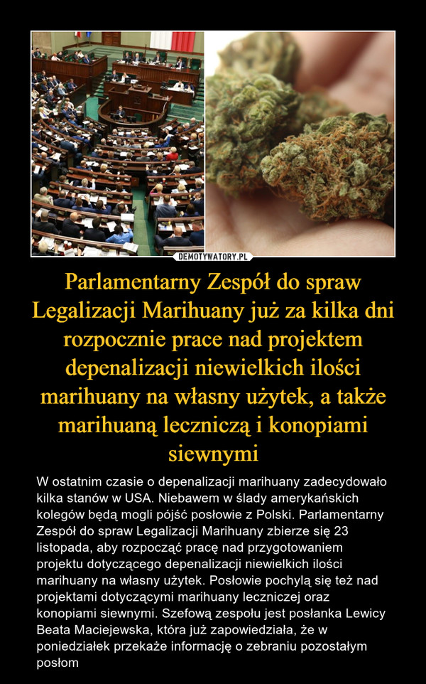 Parlamentarny Zespół do spraw Legalizacji Marihuany już za kilka dni rozpocznie prace nad projektem depenalizacji niewielkich ilości marihuany na własny użytek, a także marihuaną leczniczą i konopiami siewnymi – W ostatnim czasie o depenalizacji marihuany zadecydowało kilka stanów w USA. Niebawem w ślady amerykańskich kolegów będą mogli pójść posłowie z Polski. Parlamentarny Zespół do spraw Legalizacji Marihuany zbierze się 23 listopada, aby rozpocząć pracę nad przygotowaniem projektu dotyczącego depenalizacji niewielkich ilości marihuany na własny użytek. Posłowie pochylą się też nad projektami dotyczącymi marihuany leczniczej oraz konopiami siewnymi. Szefową zespołu jest posłanka Lewicy Beata Maciejewska, która już zapowiedziała, że w poniedziałek przekaże informację o zebraniu pozostałym posłom 