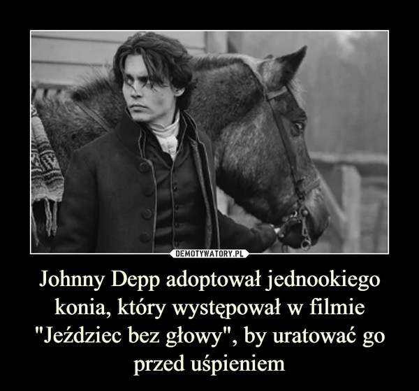 Johnny Depp adoptował jednookiego konia, który występował w filmie "Jeździec bez głowy", by uratować go przed uśpieniem