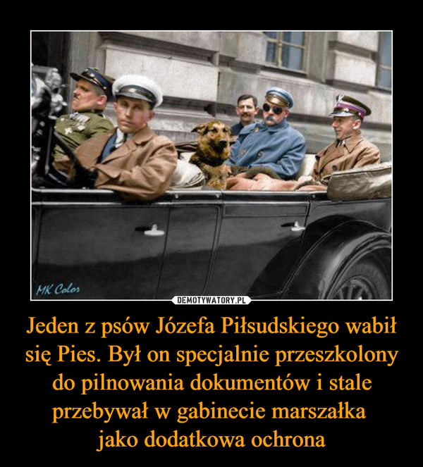 Jeden z psów Józefa Piłsudskiego wabił się Pies. Był on specjalnie przeszkolony do pilnowania dokumentów i stale przebywał w gabinecie marszałka 
jako dodatkowa ochrona