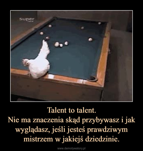 Talent to talent.Nie ma znaczenia skąd przybywasz i jak wyglądasz, jeśli jesteś prawdziwym mistrzem w jakiejś dziedzinie. –  