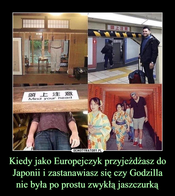 Kiedy jako Europejczyk przyjeżdżasz do Japonii i zastanawiasz się czy Godzilla nie była po prostu zwykłą jaszczurką