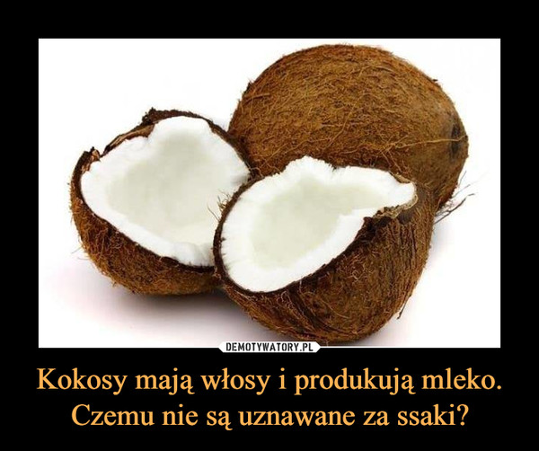 Kokosy mają włosy i produkują mleko.
Czemu nie są uznawane za ssaki?