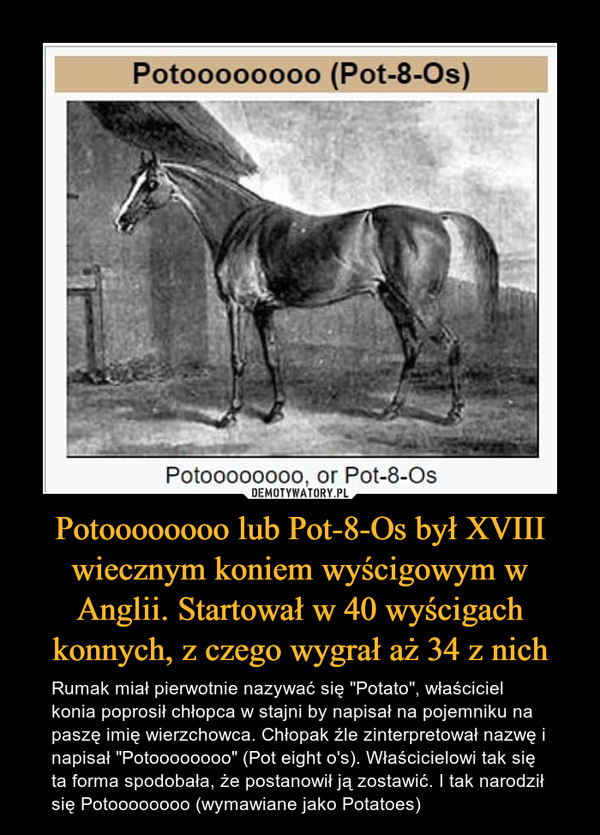 Potoooooooo lub Pot-8-Os był XVIII wiecznym koniem wyścigowym w Anglii. Startował w 40 wyścigach konnych, z czego wygrał aż 34 z nich – Rumak miał pierwotnie nazywać się "Potato", właściciel konia poprosił chłopca w stajni by napisał na pojemniku na paszę imię wierzchowca. Chłopak źle zinterpretował nazwę i napisał "Potoooooooo" (Pot eight o's). Właścicielowi tak się ta forma spodobała, że postanowił ją zostawić. I tak narodził się Potoooooooo (wymawiane jako Potatoes) 