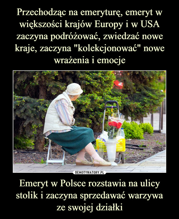 Emeryt w Polsce rozstawia na ulicy stolik i zaczyna sprzedawać warzywaze swojej działki –  