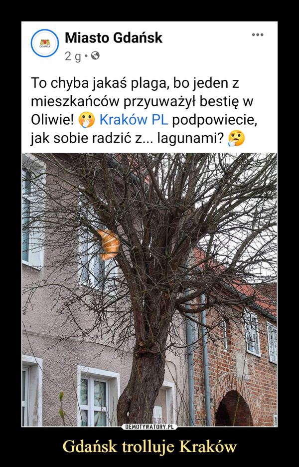 Gdańsk trolluje Kraków
