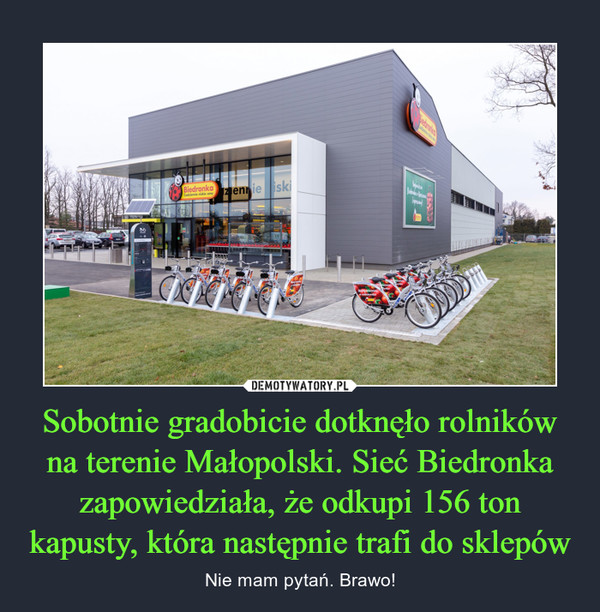 Sobotnie gradobicie dotknęło rolników na terenie Małopolski. Sieć Biedronka zapowiedziała, że odkupi 156 ton kapusty, która następnie trafi do sklepów