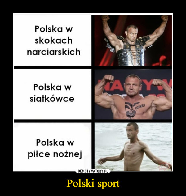 Polski sport –  
