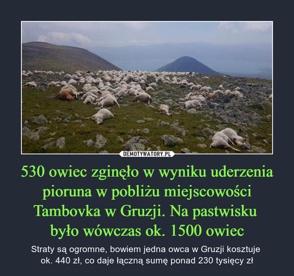530 owiec zginęło w wyniku uderzenia pioruna w pobliżu miejscowości Tambovka w Gruzji. Na pastwisku 
było wówczas ok. 1500 owiec