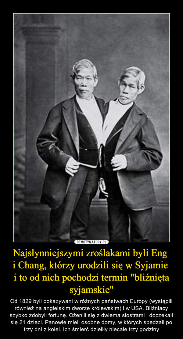 Najsłynniejszymi zroślakami byli Eng 
i Chang, którzy urodzili się w Syjamie 
i to od nich pochodzi termin "bliźnięta syjamskie"