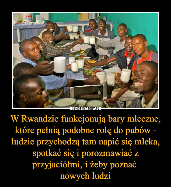 W Rwandzie funkcjonują bary mleczne, które pełnią podobne rolę do pubów - ludzie przychodzą tam napić się mleka, spotkać się i porozmawiać z przyjaciółmi, i żeby poznać nowych ludzi –  