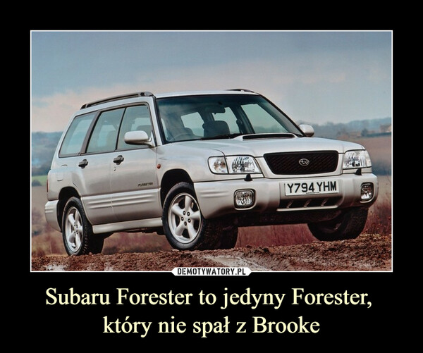 Subaru Forester to jedyny Forester, 
który nie spał z Brooke