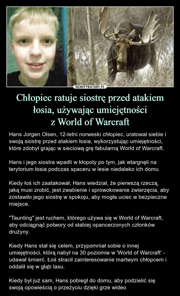 Chłopiec ratuje siostrę przed atakiem łosia, używając umiejętnościz World of Warcraft – Hans Jorgen Olsen, 12-letni norweski chłopiec, uratował siebie i swoją siostrę przed atakiem łosia, wykorzystując umiejętności, które zdobył grając w sieciową grę fabularną World of Warcraft.Hans i jego siostra wpadli w kłopoty po tym, jak wtargnęli na terytorium łosia podczas spaceru w lesie niedaleko ich domuKiedy łoś ich zaatakował, Hans wiedział, że pierwszą rzeczą, jaką musi zrobić, jest zwabienie i sprowokowanie zwierzęcia, aby zostawiło jego siostrę w spokoju, aby mogła uciec w bezpieczne miejsce.''Taunting" jest ruchem, którego używa się w World of Warcraft, aby odciągnąć potwory od słabiej opancerzonych członków drużyny.Kiedy Hans stał się celem, przypomniał sobie o innej umiejętności, którą nabył na 30 poziomie w 'World of Warcraft' - udawał śmierć. Łoś stracił zainteresowanie martwym chłopcem i oddalił się w głąb lasu.Kiedy był już sam, Hans pobiegł do domu, aby podzielić się swoją opowieścią o przeżyciu dzięki grze wideo Hans Jorgen Olsen, 12-letni norweski chłopiec, uratował siebie i swoją siostrę przed atakiem łosia, wykorzystując umiejętności, które zdobył grając w sieciową grę fabularną World of Warcraft.Hans i jego siostra wpadli w kłopoty po tym, jak wtargnęli na terytorium łosia podczas spaceru w lesie niedaleko ich domuKiedy łoś ich zaatakował, Hans wiedział, że pierwszą rzeczą, jaką musi zrobić, jest zwabienie i sprowokowanie zwierzęcia, aby zostawiło jego siostrę w spokoju, aby mogła uciec w bezpieczne miejsce.''Taunting" jest ruchem, którego używa się w World of Warcraft, aby odciągnąć potwory od słabiej opancerzonych członków drużyny.Kiedy Hans stał się celem, przypomniał sobie o innej umiejętności, którą nabył na 30 poziomie w 'World of Warcraft' - udawał śmierć. Łoś stracił zainteresowanie martwym chłopcem i oddalił się w głąb lasu.Kiedy był już sam, Hans pobiegł do domu, aby podzielić się swoją opowieścią o przeżyciu dzięki grze wideo