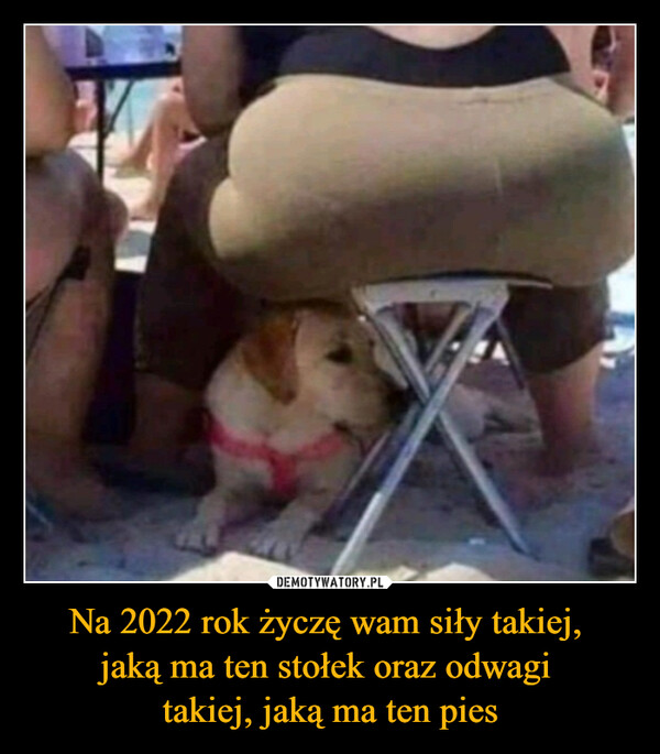 Na 2022 rok życzę wam siły takiej, 
jaką ma ten stołek oraz odwagi 
takiej, jaką ma ten pies