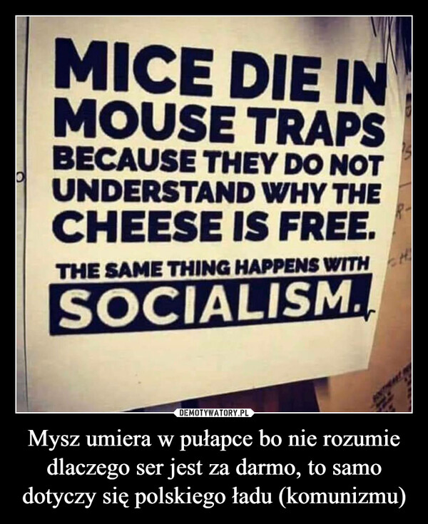 Mysz umiera w pułapce bo nie rozumie dlaczego ser jest za darmo, to samo dotyczy się polskiego ładu (komunizmu) –  