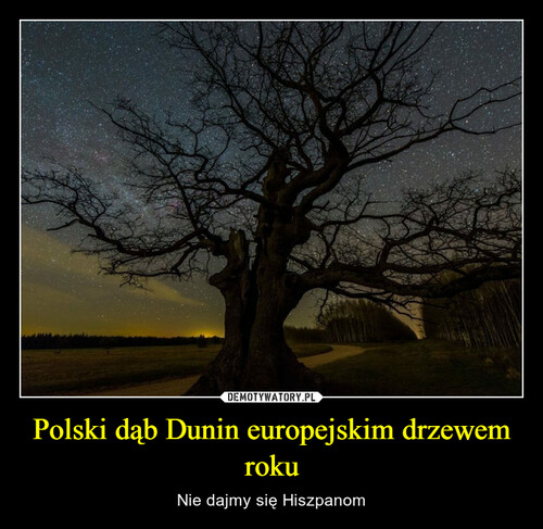 Polski dąb Dunin europejskim drzewem roku