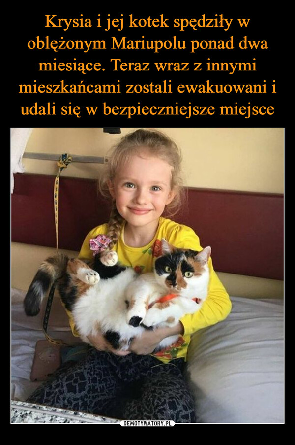 Krysia i jej kotek spędziły w oblężonym Mariupolu ponad dwa miesiące. Teraz wraz z innymi mieszkańcami zostali ewakuowani i udali się w bezpieczniejsze miejsce