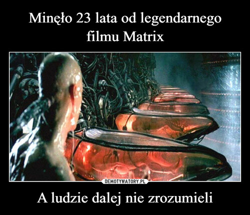 Minęło 23 lata od legendarnego
filmu Matrix A ludzie dalej nie zrozumieli