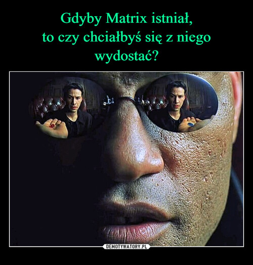 Gdyby Matrix istniał,
to czy chciałbyś się z niego wydostać?