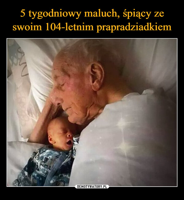 5 tygodniowy maluch, śpiący ze swoim 104-letnim prapradziadkiem