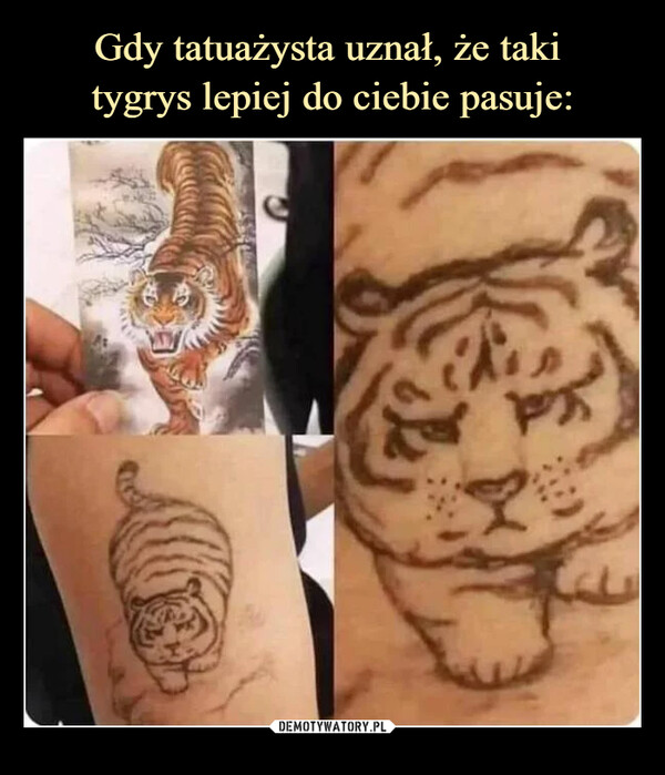 Gdy tatuażysta uznał, że taki 
tygrys lepiej do ciebie pasuje: