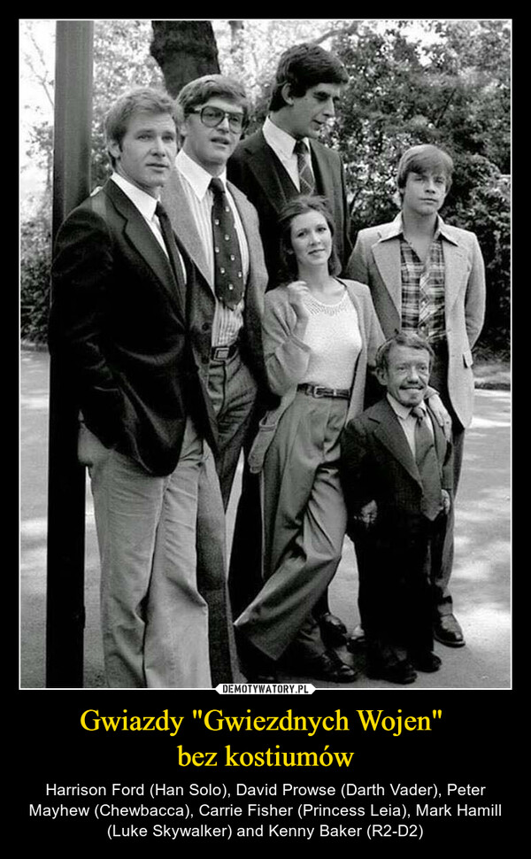 Gwiazdy "Gwiezdnych Wojen" bez kostiumów – Harrison Ford (Han Solo), David Prowse (Darth Vader), Peter Mayhew (Chewbacca), Carrie Fisher (Princess Leia), Mark Hamill (Luke Skywalker) and Kenny Baker (R2-D2) 