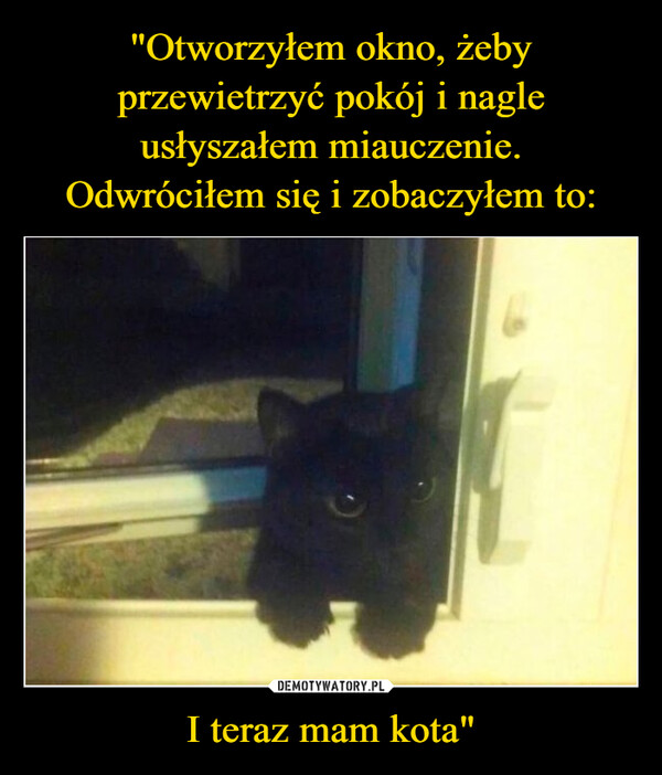 "Otworzyłem okno, żeby przewietrzyć pokój i nagle usłyszałem miauczenie.
Odwróciłem się i zobaczyłem to: I teraz mam kota"