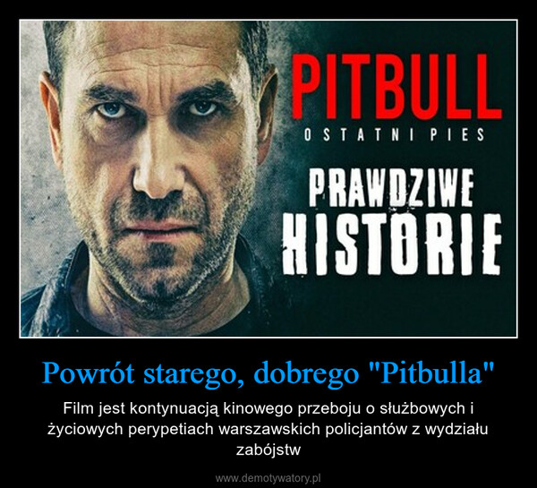 Powrót starego, dobrego "Pitbulla" – Film jest kontynuacją kinowego przeboju o służbowych i życiowych perypetiach warszawskich policjantów z wydziału zabójstw MatPITBULLOSTATNI PIESPRAWDZIWEHISTORIE
