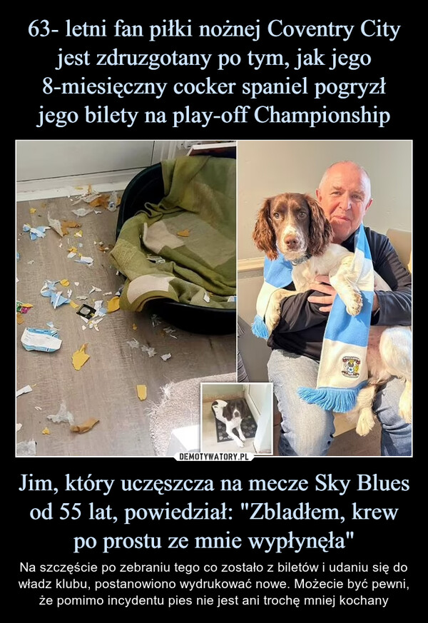 Jim, który uczęszcza na mecze Sky Blues od 55 lat, powiedział: "Zbladłem, krew po prostu ze mnie wypłynęła" – Na szczęście po zebraniu tego co zostało z biletów i udaniu się do władz klubu, postanowiono wydrukować nowe. Możecie być pewni, że pomimo incydentu pies nie jest ani trochę mniej kochany 