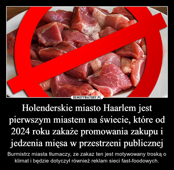 Holenderskie miasto Haarlem jest pierwszym miastem na świecie, które od 2024 roku zakaże promowania zakupu i jedzenia mięsa w przestrzeni publicznej