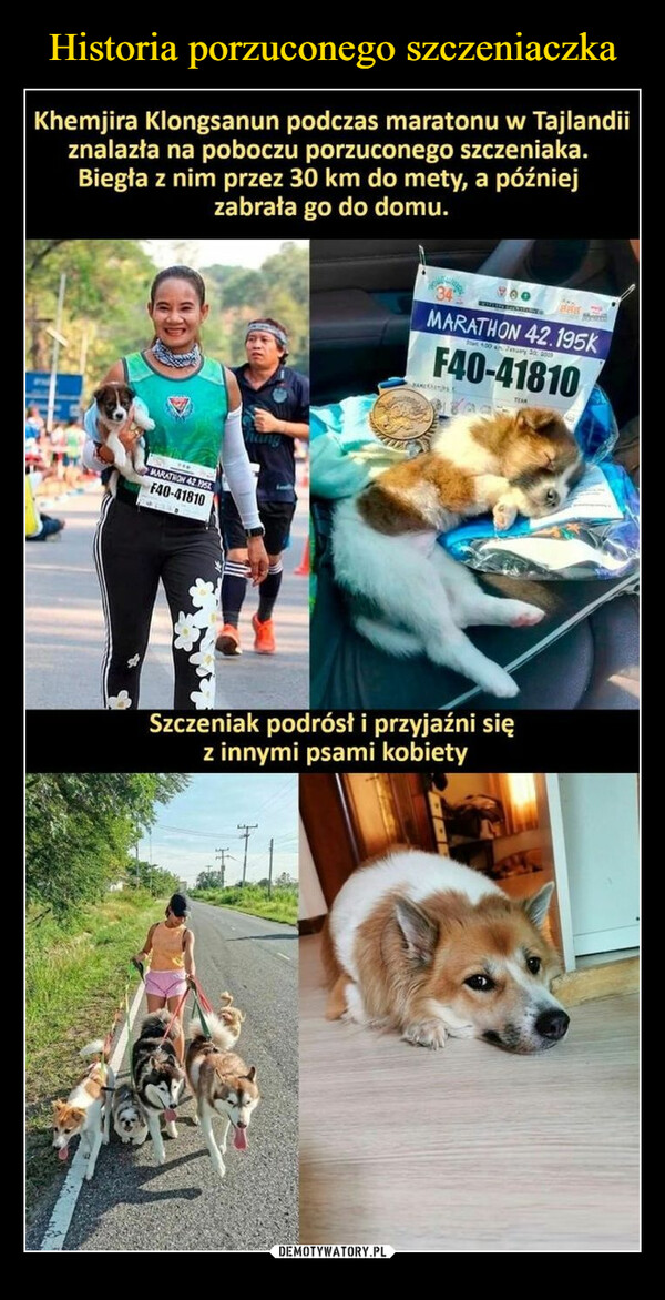  –  Khemjira Klongsanun podczas maratonu w Tajlandiiznalazła na poboczu porzuconego szczeniaka.Biegła z nim przez 30 km do mety, a późniejzabrała go do domu.wnMARATHON 42.195KF40-41810hunBARLip00 288MARATHON 42.195kat 100 ah January 30, 2009F40-41810Szczeniak podrósł i przyjaźni sięz innymi psami kobiety