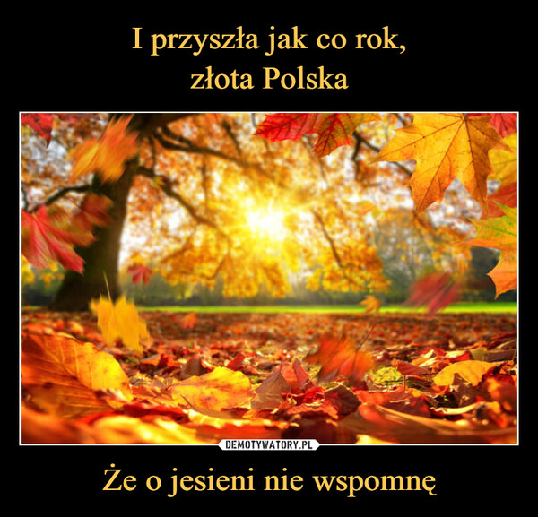 I przyszła jak co rok,
złota Polska Że o jesieni nie wspomnę