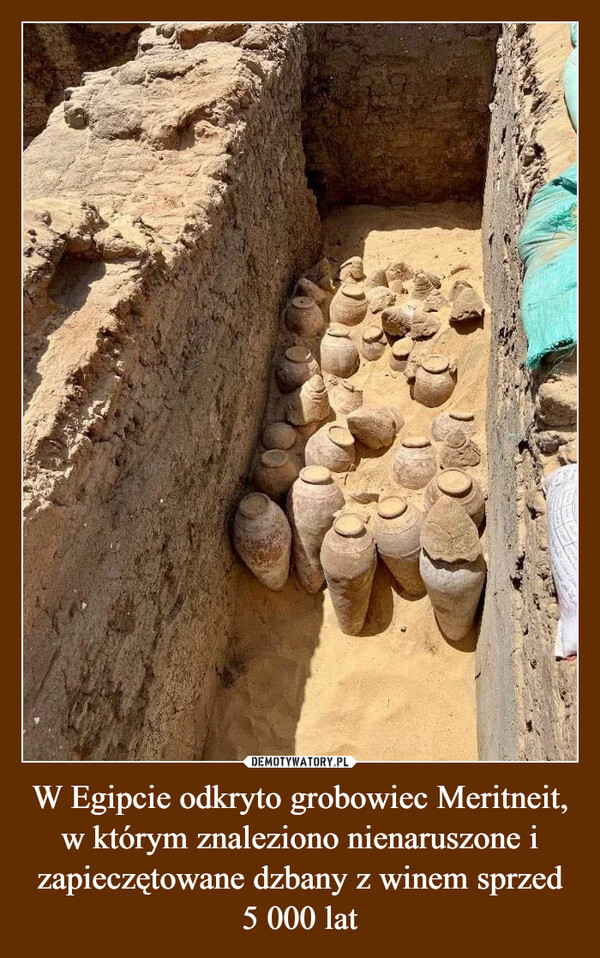 W Egipcie odkryto grobowiec Meritneit, w którym znaleziono nienaruszone i zapieczętowane dzbany z winem sprzed 5 000 lat –  