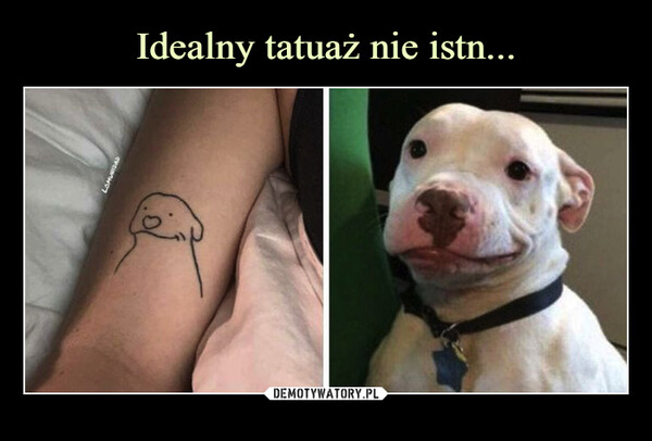 Idealny tatuaż nie istn...