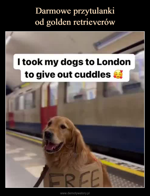  –  I took my dogs to Londonto give out cuddlesFREEHUGS