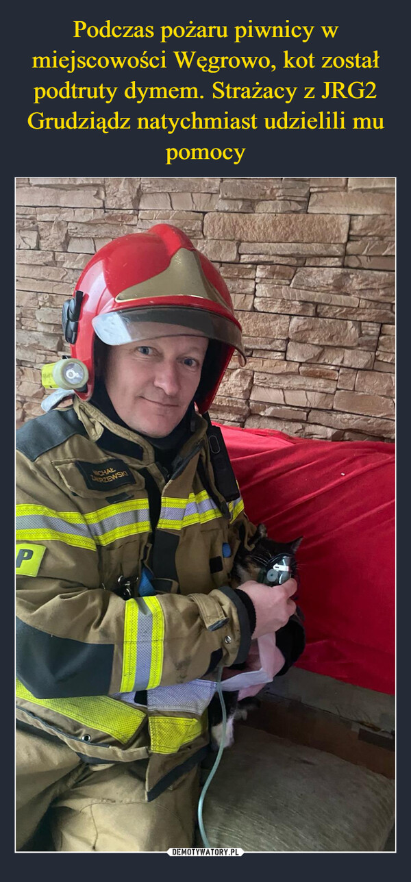 Podczas pożaru piwnicy w miejscowości Węgrowo, kot został podtruty dymem. Strażacy z JRG2 Grudziądz natychmiast udzielili mu pomocy