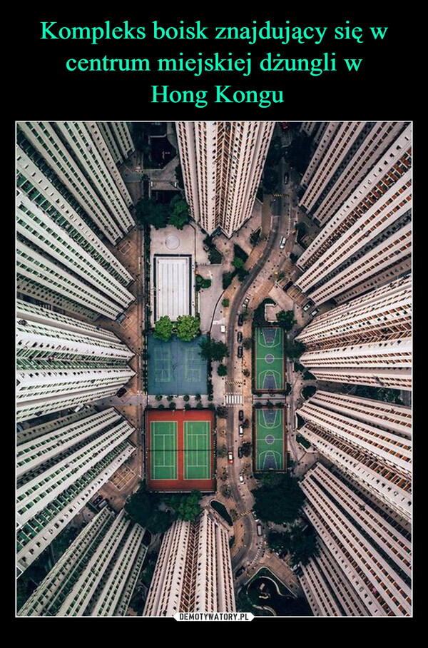 Kompleks boisk znajdujący się w centrum miejskiej dżungli w
 Hong Kongu