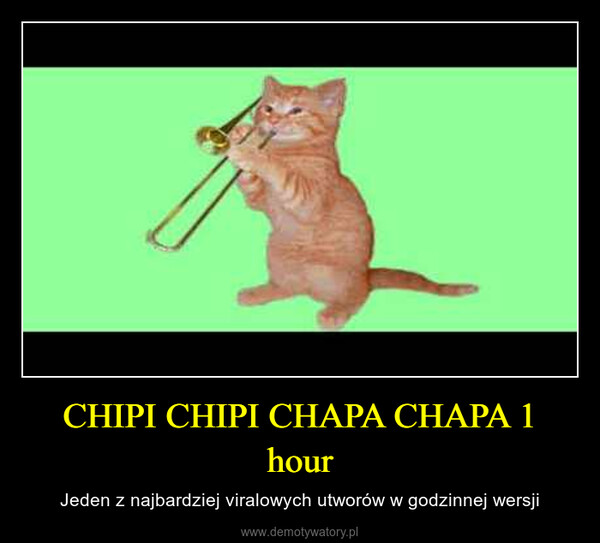 CHIPI CHIPI CHAPA CHAPA 1 hour – Jeden z najbardziej viralowych utworów w godzinnej wersji 