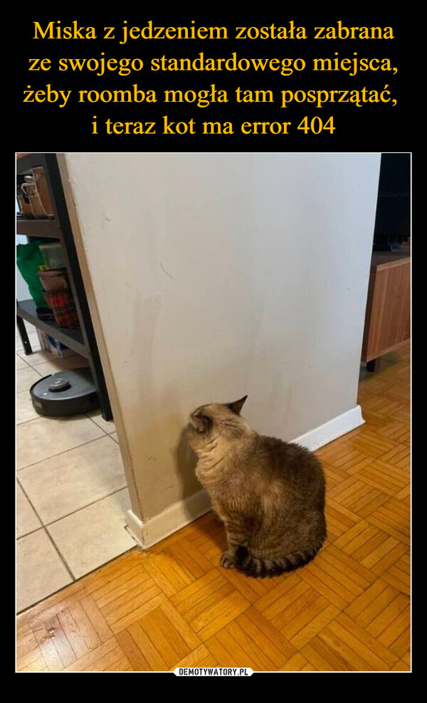 Miska z jedzeniem została zabrana ze swojego standardowego miejsca, żeby roomba mogła tam posprzątać, 
i teraz kot ma error 404
