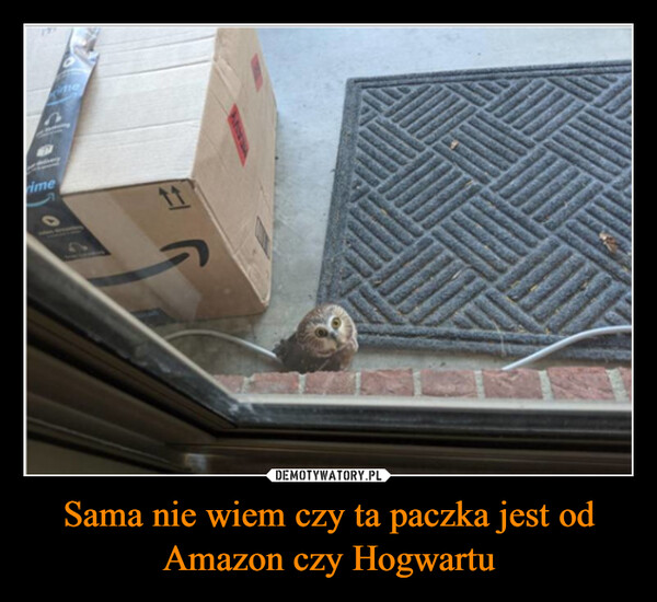 Sama nie wiem czy ta paczka jest od Amazon czy Hogwartu –  ime11