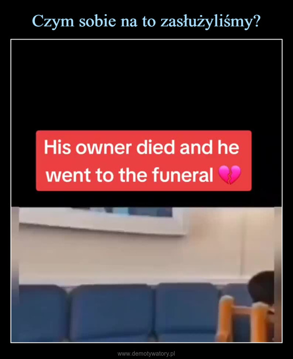  –  His owner died and hewent to the funeral