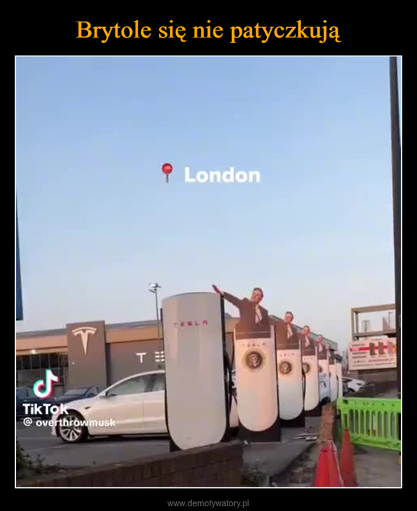  –  لTik Tok@overthrowmuskTLondonTABLA